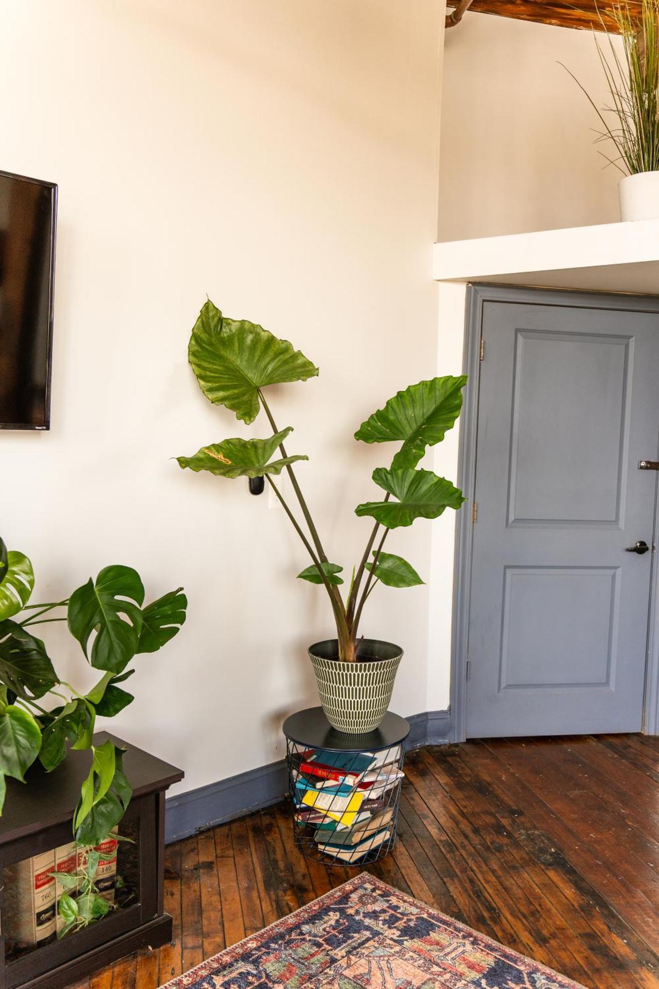 420 Friendly Canada Bridge View Loft Downtown Free Parking ดีทรอยต์ ภายนอก รูปภาพ